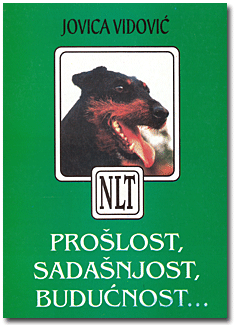 NLT Poslost Sadasnjost Buducnost 